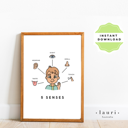 This is a digital download educational poster showing the 5 senses for children and toddlers to learn. This education print is perfect for Montessori inspired homeschool classrooms, playrooms and childrens toddler nurseries or bedrooms too. The 5 Senses Poster for Children, Educational Digital Download, Printable wall art, Montessori Homeschool Learning Materials, Boho Decor